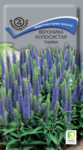 Вероника Голубая многолетник 0,1гр (Поиск)