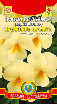 Виола Кремовые брызги /Плазма/