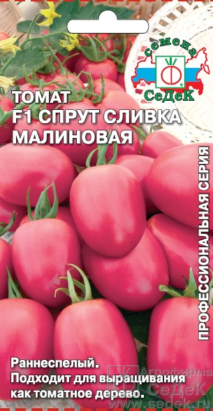 Томат Спрут Сливка малиновый F1 (0,03г) СеДеК