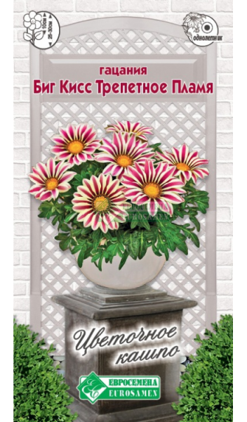 Гацания Биг Кисс Трепетное Пламя (3шт) Евросемена