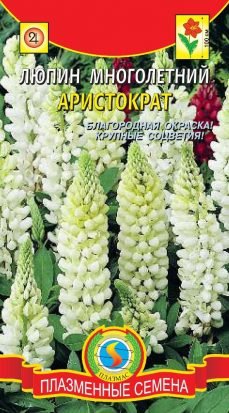 Люпин Аристократ /Плазма/ белый/0,45гр/h100см