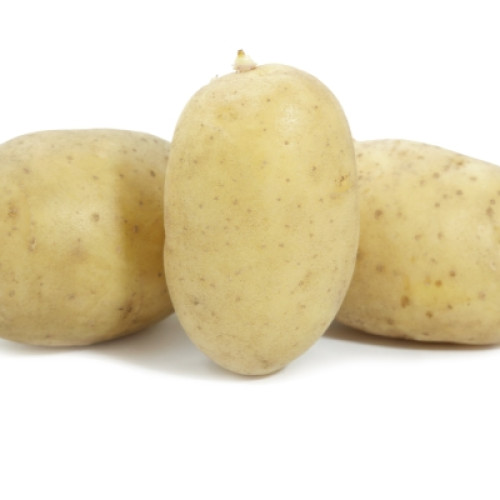 Картофель семенной  Пароли 1 репродукция 1 кг