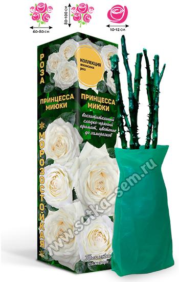 Роза Принцесса Миюки /Японская-Шраб/