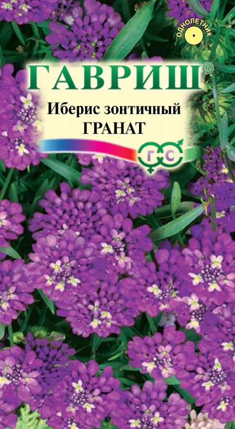 Иберис Гранат /Гавриш/ 0,2г однолетн, фиолетов.