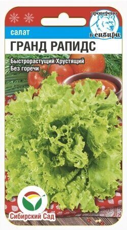 Салат Гранд Рапидс 0,5гр  (Сиб Сад)