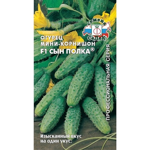 Огурец Сын полка F1 /Седек/ 0,3г/ среднеран.  пчелооп. 6-8см