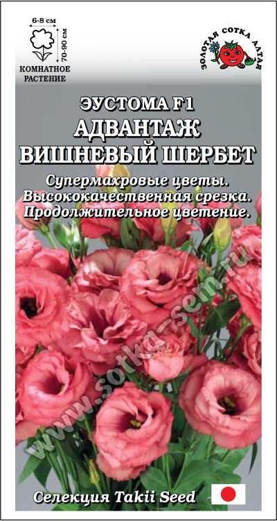 Ком: Эустома Адвантаж Вишневый шербет /Сотка/ 5 шт/*500