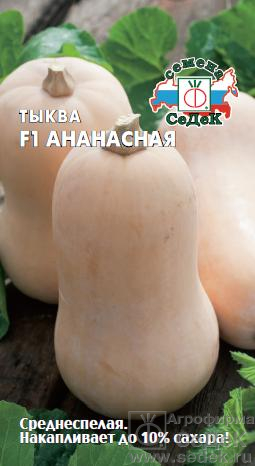 Тыква Ананасная F1 /Седек/ 1г/ мускат. среднесп. 1,5-2,5кг бежево-кремов.