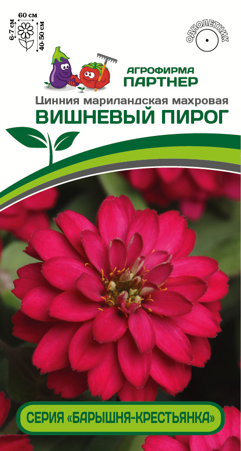 Партнер Цинния ВИШНЕВЫЙ ПИРОГ / мариландская махровая ^(5шт) 2-ной пак
