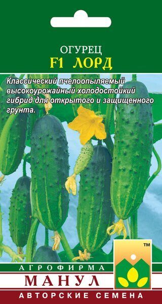 Огурец Лорд  (Манул)
