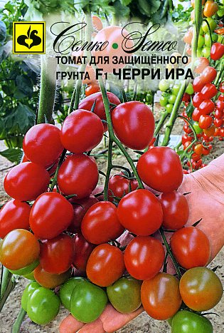 Томат Черри ИРА F1 (5шт) Семко