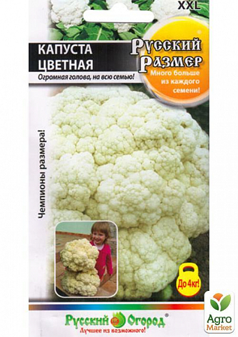 Капуста цветная Русский размер /НК/ 50шт/ среднесп. до 4кг