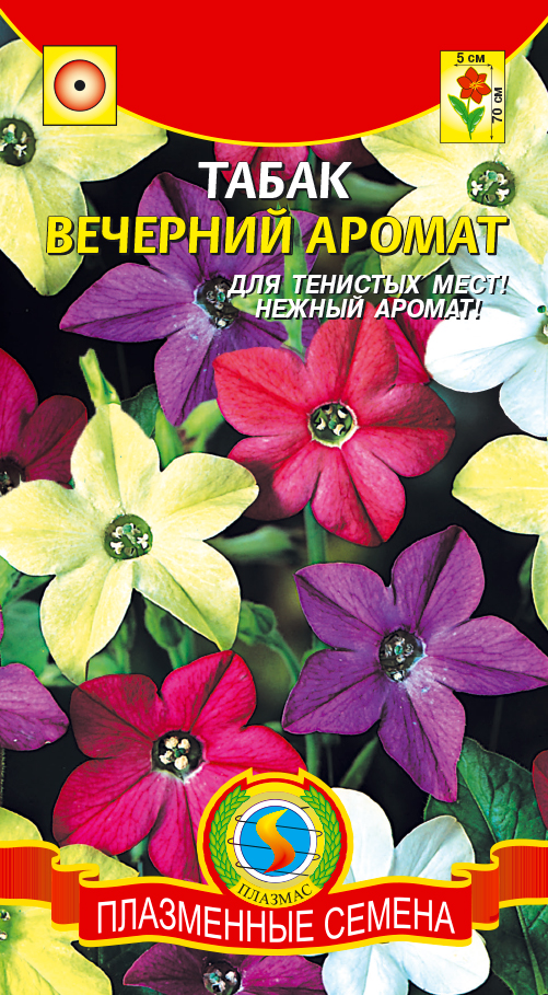 Табак душистый Вечерний Аромат /Плазма/