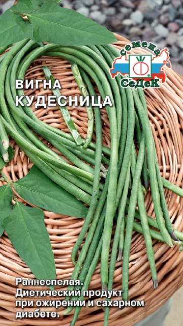 Фасоль ВИГНА Кудесница (3г) СеДеК