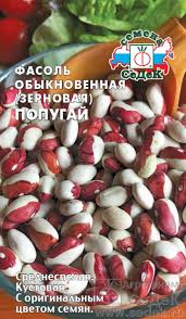 Фасоль Попугай, зерновая обыкновенная/Седек/цп