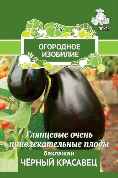 Баклажан Черный красавец ОИ 0,25 гр (Поиск)/10