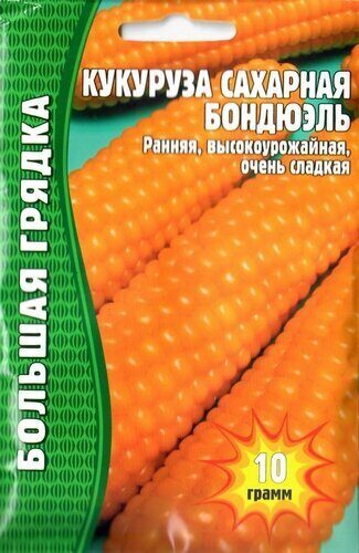 Кукуруза Бондюэль сахарная (10г) Редкие овощи