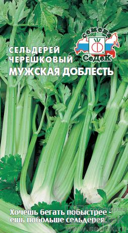 Сельдерей черешковый Мужская доблесть /Седек/ 0,5г/ ранний до 70см 750-850г