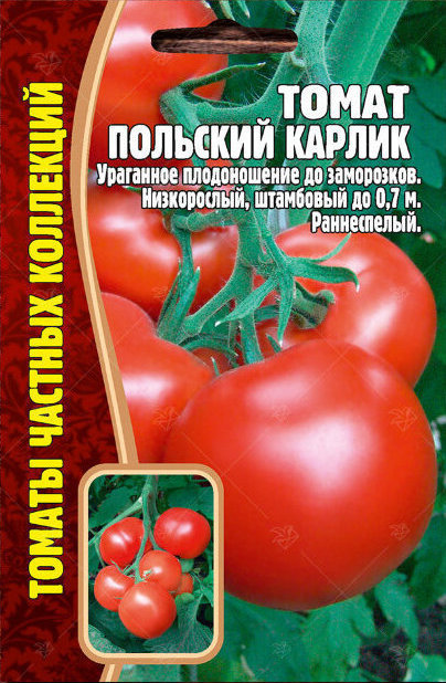 Томат Польский карлик 10шт (Ред.сем)