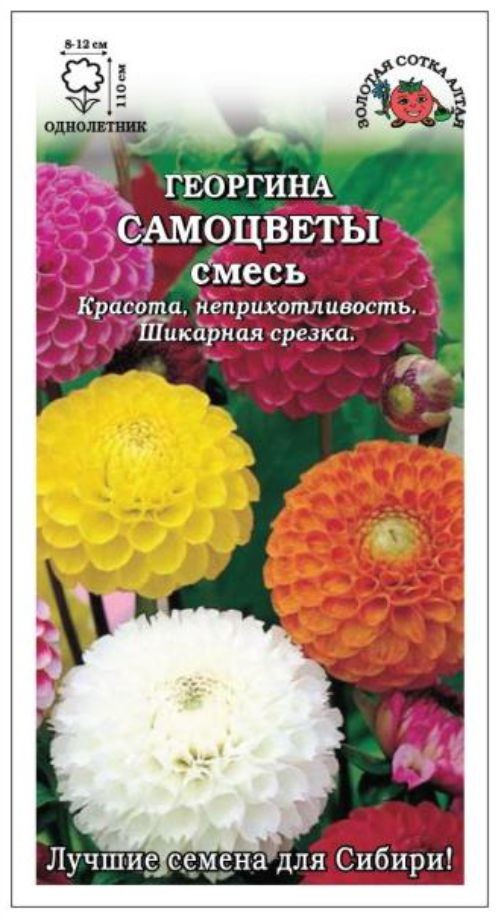 Георгина Самоцветы шаровидная /Сотка/ 0,2г/ смесь h-110см d-12см /*1000