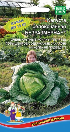 Капуста белокочанная Безразмерная® (УД) Е/П