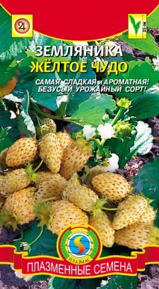 Земляника Жёлтое чудо Плазма