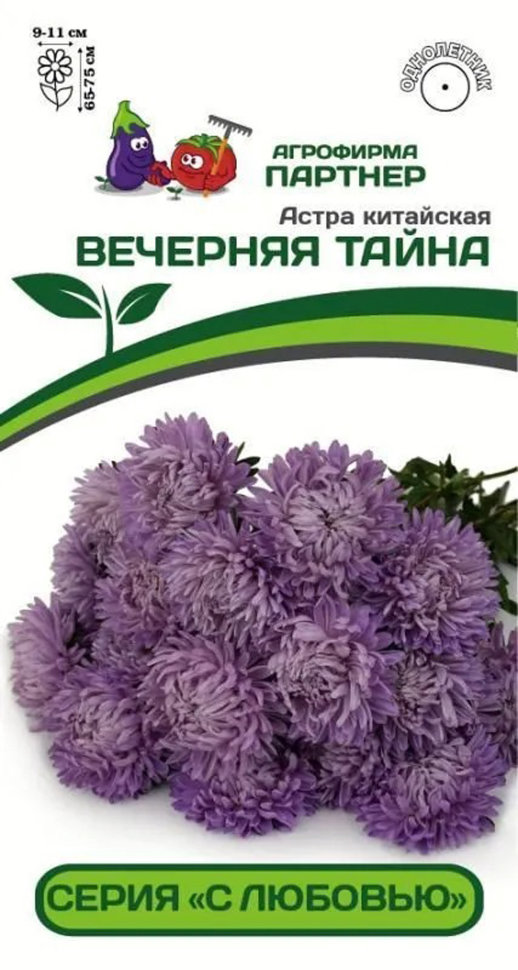 Партнер Астра китайская ВЕЧЕРНЯЯ ТАЙНА ^(5шт в амп)