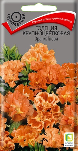Годеция Оранж Глори крупноцветковая 0,2гр (Поиск)