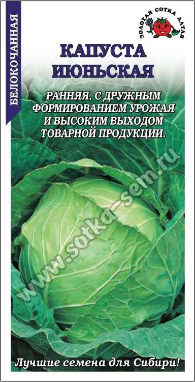 Капуста белокочанная Июньская /Сотка/ 0,5г/ раннесп. до 2,5кг/*1100