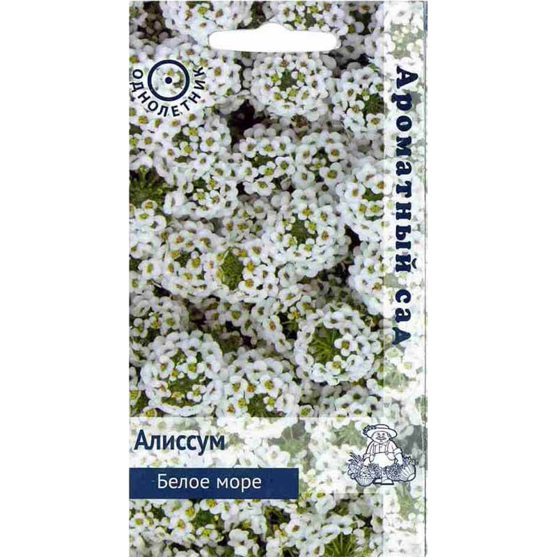 Алиссум Белое море (0.3г) Поиск