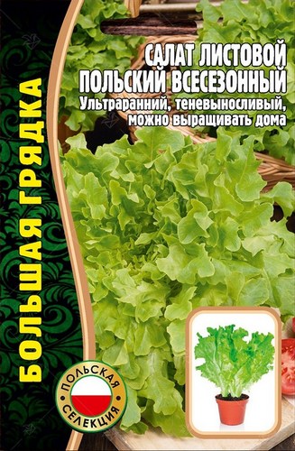 Салат Польский Всесезонный листовой (1000шт) Редкие овощи
