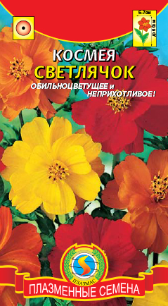Космея Светлячок (лисёнок)
