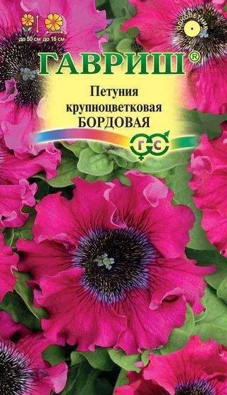 Петуния Бордовая Бахромчатая /Гавриш/ 10шт