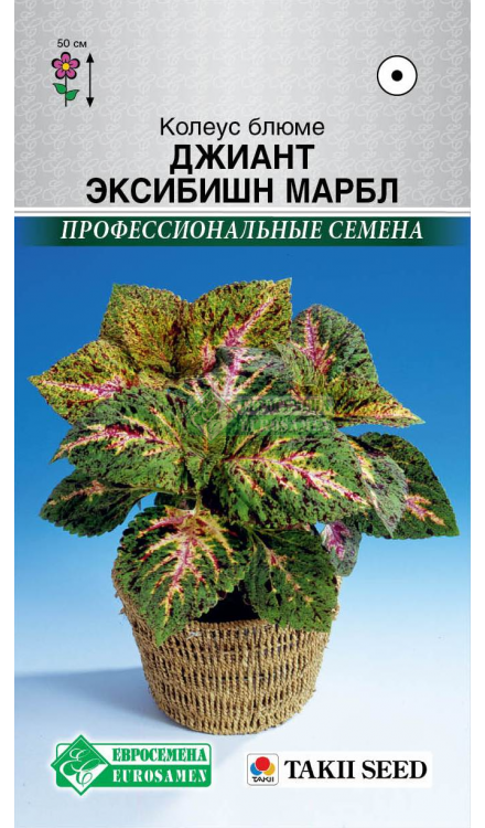 Колеус ДЖИАНТ ЭКСИБИШН МАРБЛ блюме (3шт) Евросемена