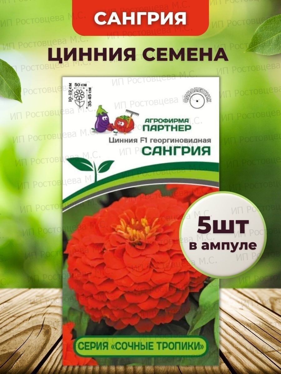 Партнер Цинния F1 САНГРИЯ / георгиновидная ^(4шт) 2-ной пак