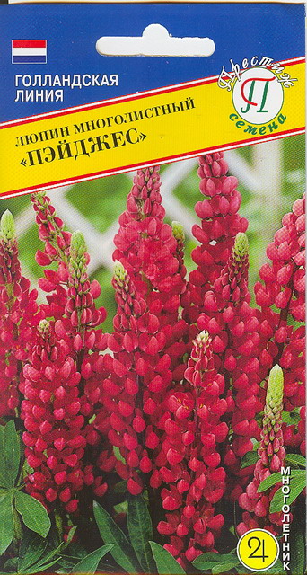 Люпин Пейджес 15шт (Престиж)