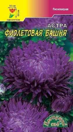 Астра Башня фиолетовая пионовидная /ЦветСад/ 0,2г/ h-60см d-10см