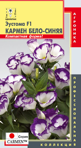 Комн: Эустома Кармен Бело-синяя F1 /Плазма/ 25см