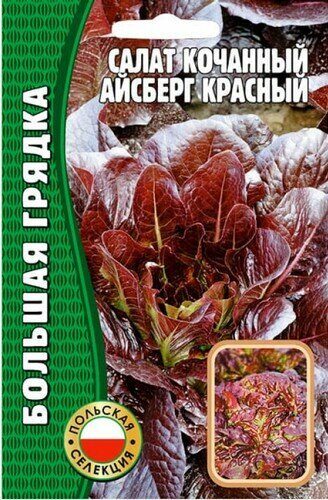 Салат Айсберг кочанный красный Большая грядка 1000шт (Ред.сем)
