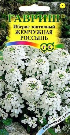 Иберис Жемчужная россыпь /Гавриш/ 0,2г/ одн. белый h-40см