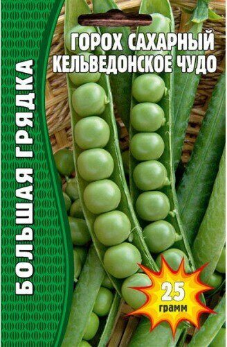 Горох Кельведонское Чудо сахарный Большая грядка 100шт (Ред.Сем)