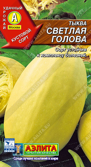 Тыква Светлая Голова /Аэлита// 1г/ среднесп. кустов. овальн. светло-зелен.