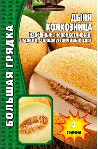 Дыня Колхозница Большая грядка 2гр (Ред.сем)