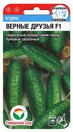 Огурец Верные Друзья F1 7шт  (Сиб сад)