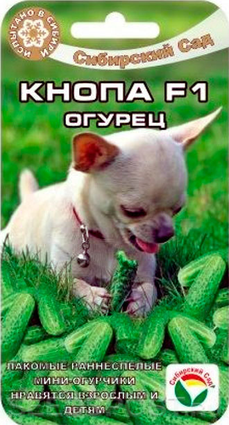 Кнопа F1 7шт огурец (Сиб Сад)