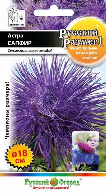 Астра Русский размер I Сапфир /НК/0,3г/игольч, фиолет, h80см, d18см/