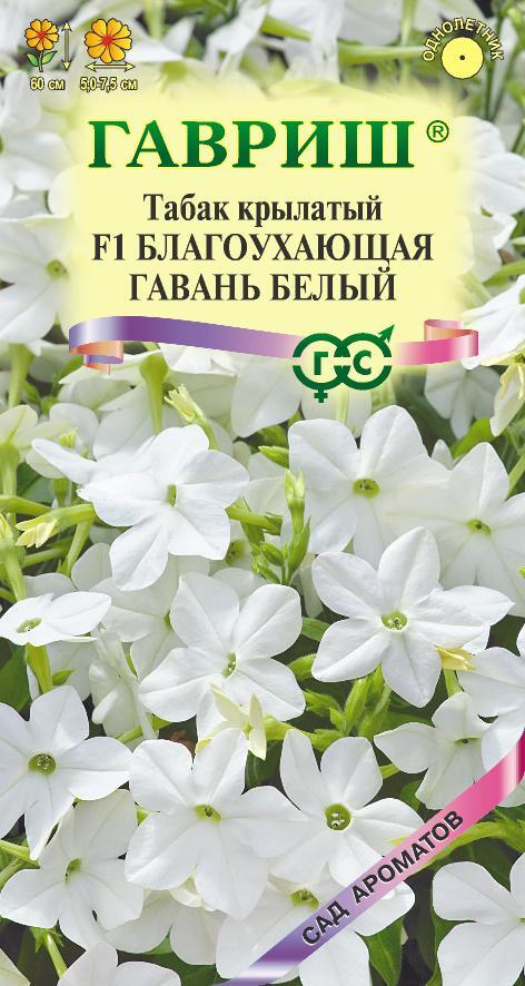 Табак Благоухающая Гавань белая F1 /Гавриш/ 5шт/ крыл. h-60см, d-7,5см