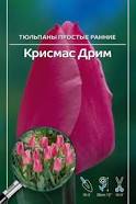 Тюльпан Крисмас Дрим /5шт/ 11/12 /Ависта/