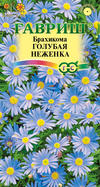 Брахикома Голубая неженка /Гавриш/0,05гр/однолет.