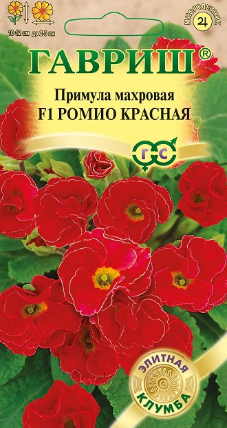 Примула Ромио красная F1 махровая /Гавриш/цп 3 шт. Эксклюзив